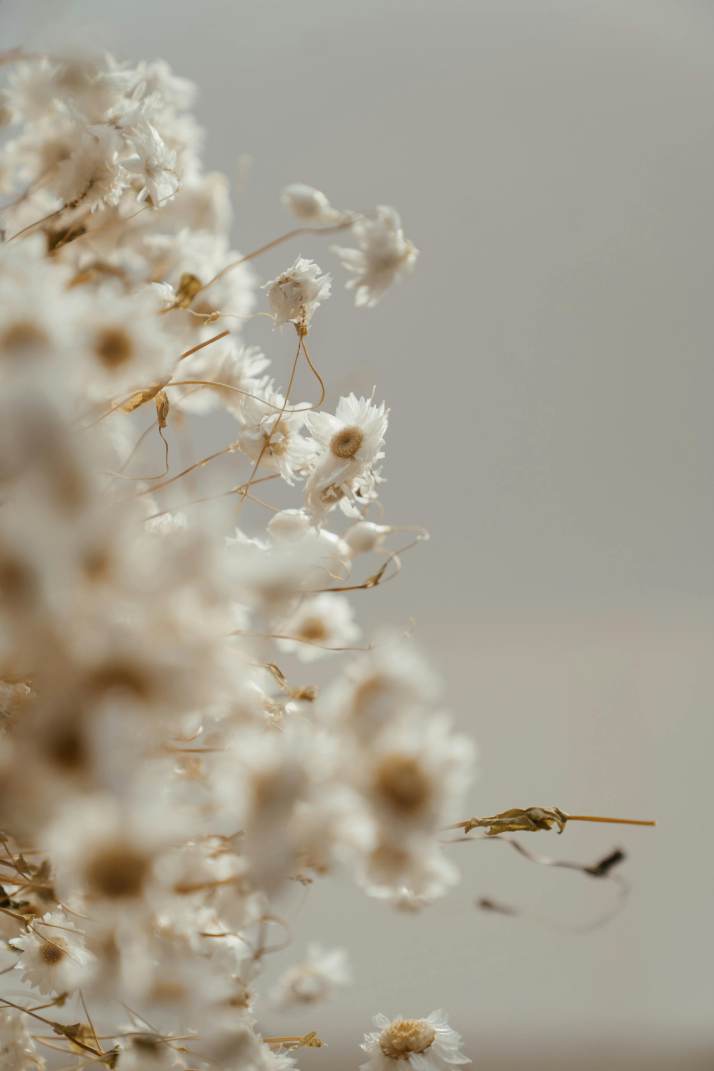 pexels cottonbro 4270167 2 1